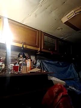 ShawnandDani7074 live cam