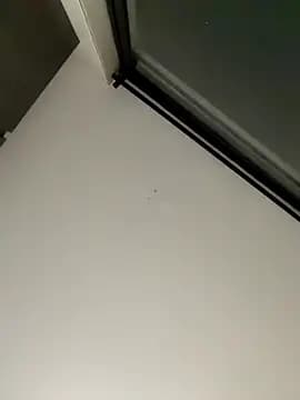 DanteWinter live cam