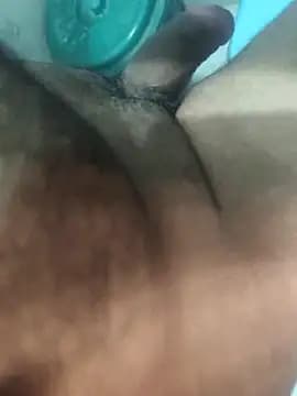 saur1221wjz live cam