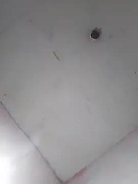 cobrosdepagos live cam