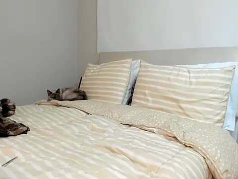 AmandaCallum live cam