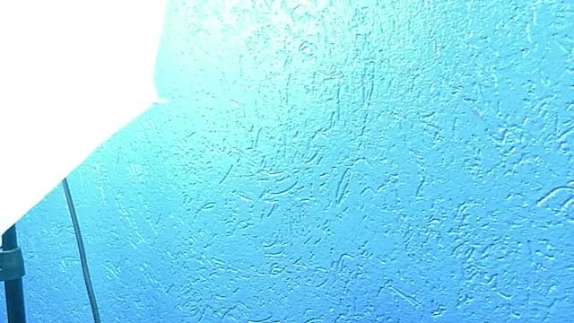 AlecciaNova live cam