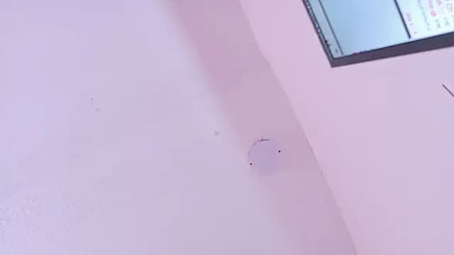 EylinSmith1_ live cam