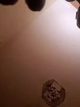 Ladyshaker82 live cam