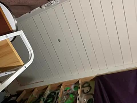 GusanoDelicioso live cam