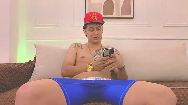 Stone_grey1_ live cam