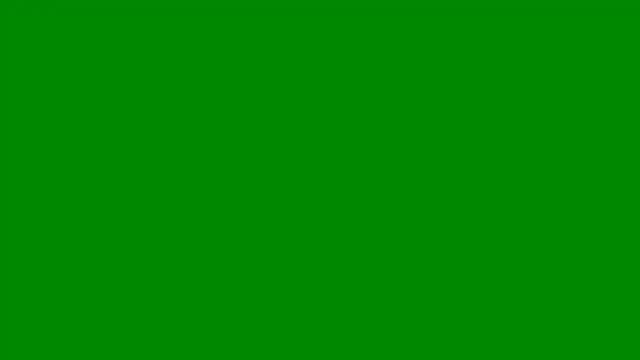 Aurisinst live cam