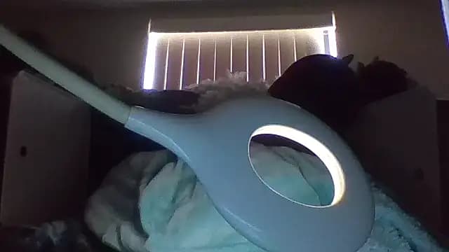 shag369 live cam