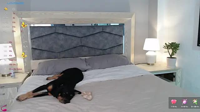 kathe03 live cam