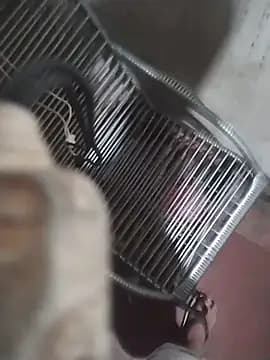 Casalzinhomineiro1 live cam