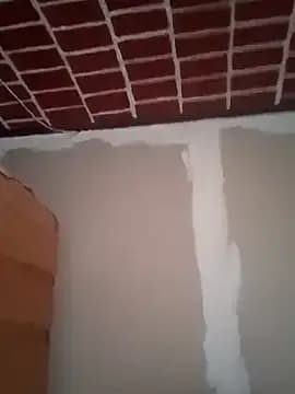 Lotusproject live cam