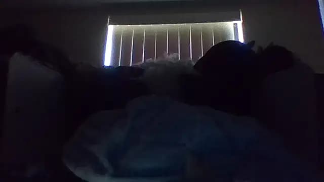 shag369 live cam