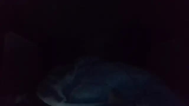 shag369 live cam