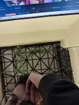 Juann-cock live cam