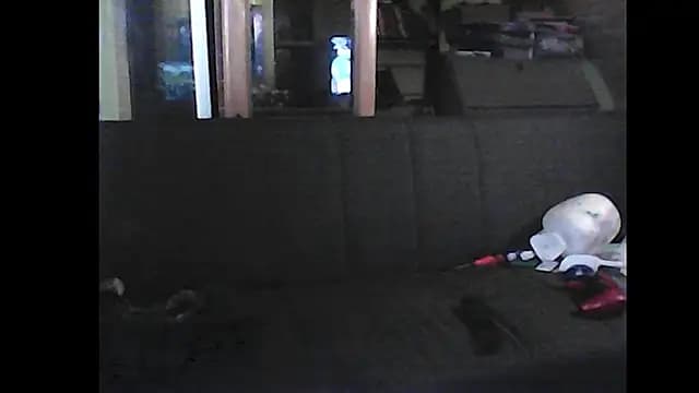 Family666Zombie live cam