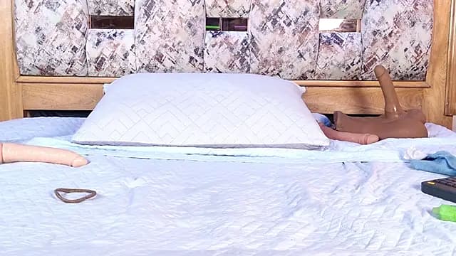Paulina25_ live cam