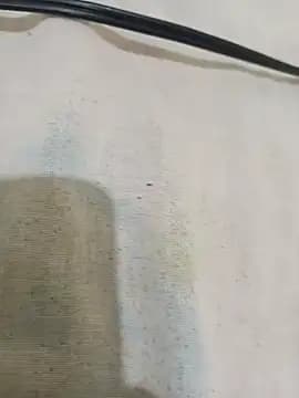 Maniasefetiches live cam