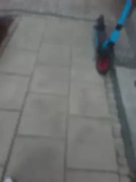 PublicMarekFlashDick live cam
