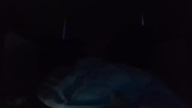 shag369 live cam