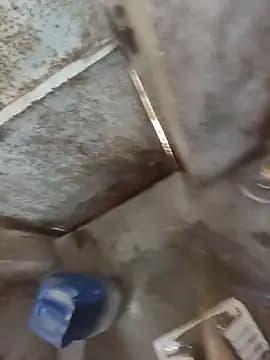 ikkaseth001 live cam
