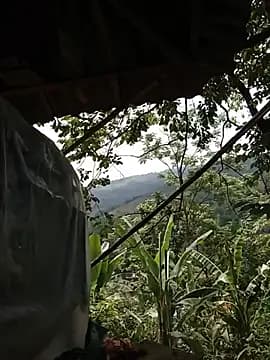 lucybaby00 live cam