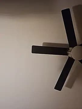 SkyelarsWorld live cam