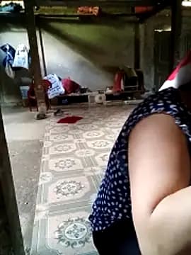 yaja-chan live cam