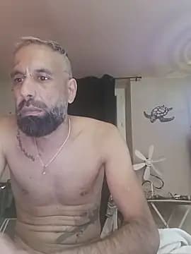 arrow13680 live cam