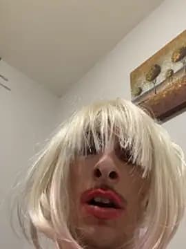 Vaccachecola live cam