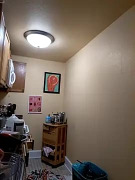 Brucejuce6669 live cam