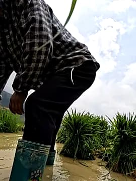 xuxulovezz live cam