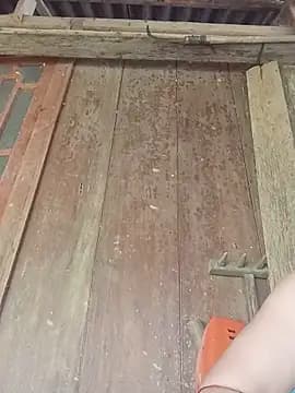 dakota-kis live cam