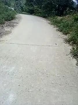 daily-ly live cam