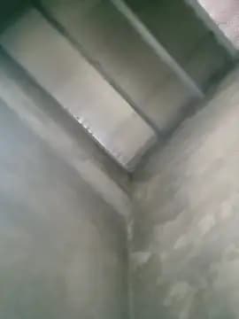 Elizabeo live cam