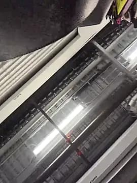 Bigbuttbrooklynn live cam