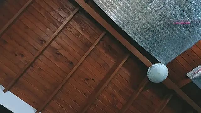 SilvaBranko live cam