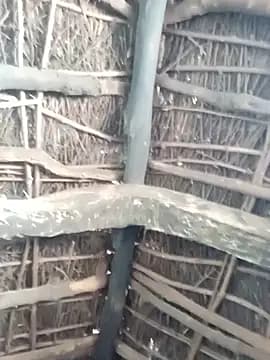 Manu_mehta live cam