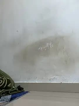 floctous live cam