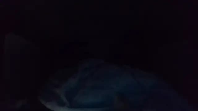 shag369 live cam