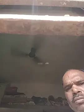 ipvk live cam