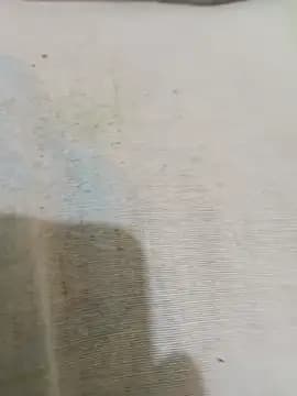 Maniasefetiches live cam