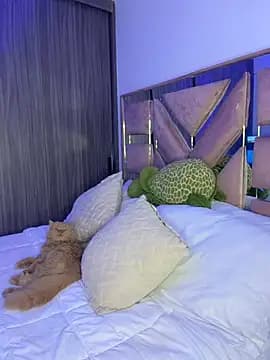 LindseyMos live cam on Stripchat
