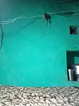 Babli_sharma live cam