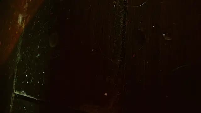 Gigadickman live cam