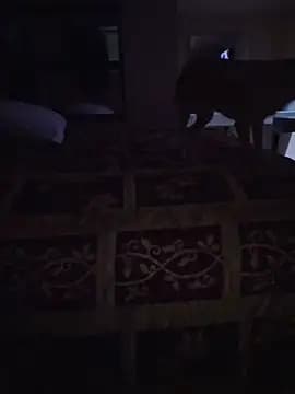 JaclynFemm live cam