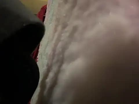tastemecaroline live cam