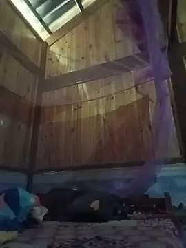 Hilary-123 live cam