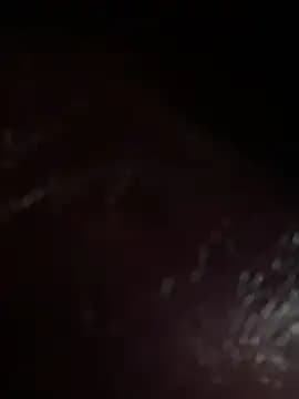 VendiMur live cam