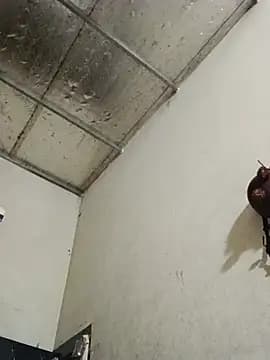 Sana-vn live cam