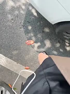 susu_kara live cam